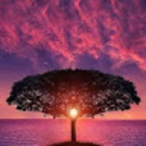 Meet your Posher, Elaine